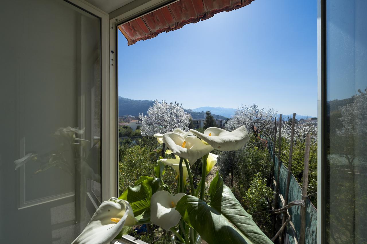 Vila Casa Lina Sant'Angelo  Exteriér fotografie